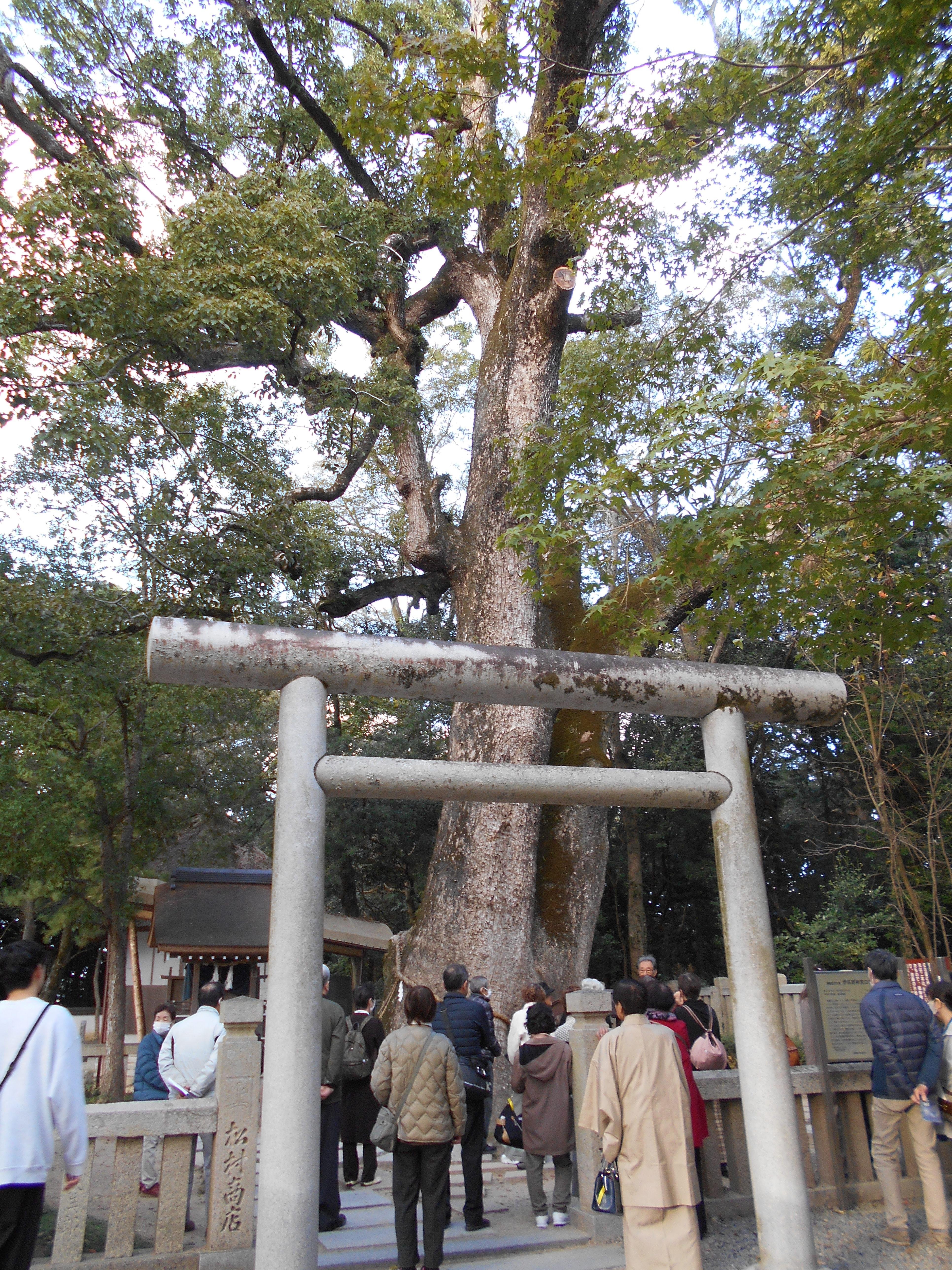 写真２